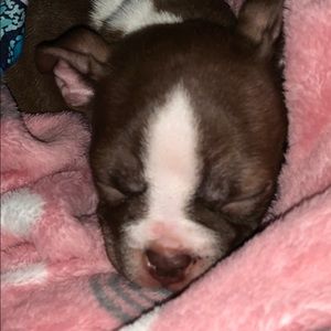 Meet your Posher, Ashlynn